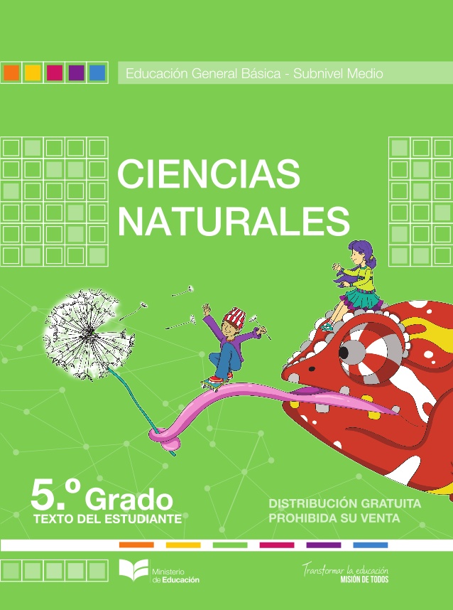 Libro de ciencias naturales de 5 EGB resuelto (2024) – Descargar en PDF