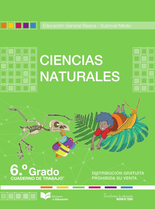 Libro de ciencias naturales de 6 EGB resuelto (2024) – Descargar en PDF